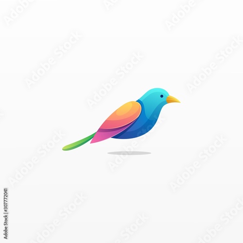 Humming Bird Colorful Designs Concept illustration Vector Template © Artnivora