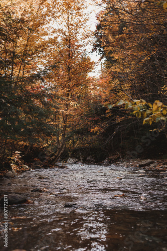 Autumn River