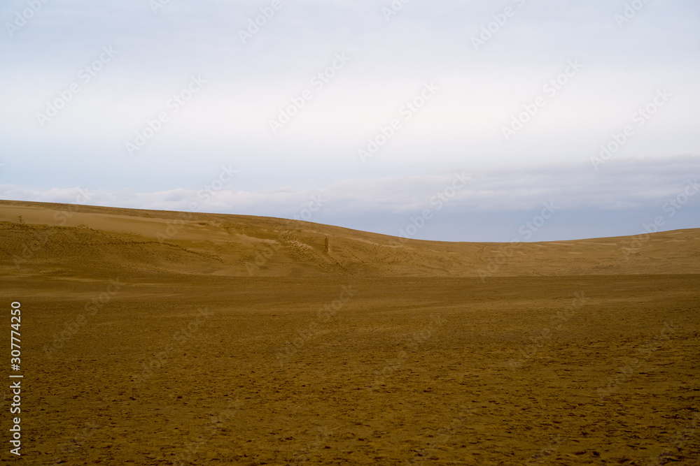 砂の丘