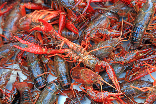 Fresh crayfish on the market