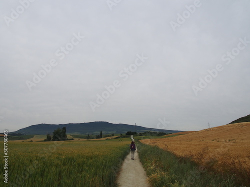 Pilgrim on the road to Santiago de Compostela, El Camino de Santiago, Journey from Pamplona to Puenta la Reina, French way, Spain photo