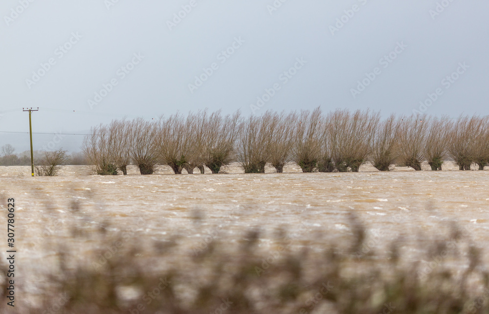 Fototapeta premium Winter floods, Somerset Levels, England, UK