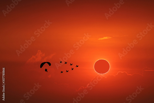 amazing phenomenon of total sun eclipse over silhouette birds flying and paramotor on sea and sunset sky