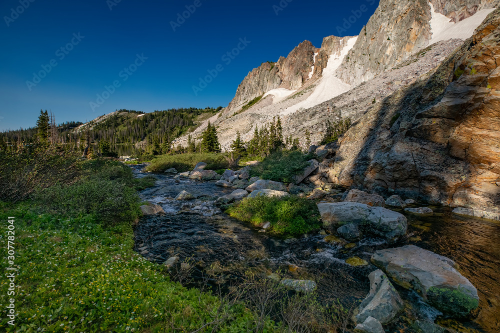 Summer afternoon along a meandering alpine stream in the Snowy Range Mountains of Wyoming