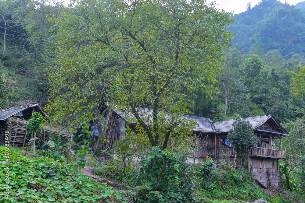 Wood hut in the mountains, traditional dwellings.In Leshan city, Sichuan province, China.