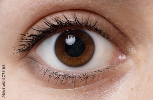 Single dark brown Caucasian eye with mascara. Young women healthy eye close up.