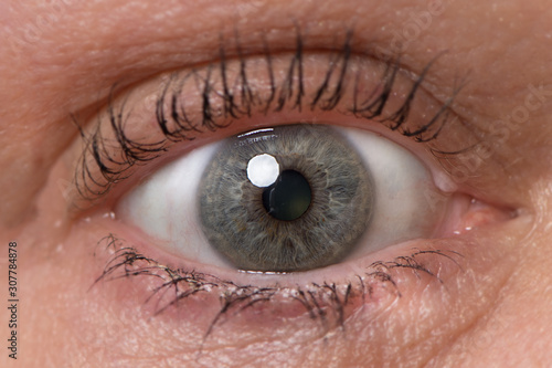 Single blue green Caucasian eye with mascara. older woman healthy eye close up with catch light. 