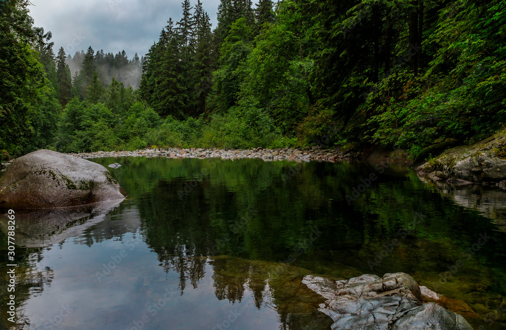 Pine trees reflecting in the crystal clear water of a lake on a cloudy day in Lynn Canyon Park forest, Vancouver, Canada