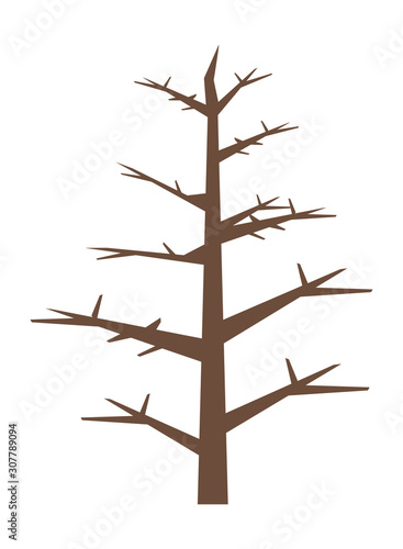 dry pine tree plant isolated icon