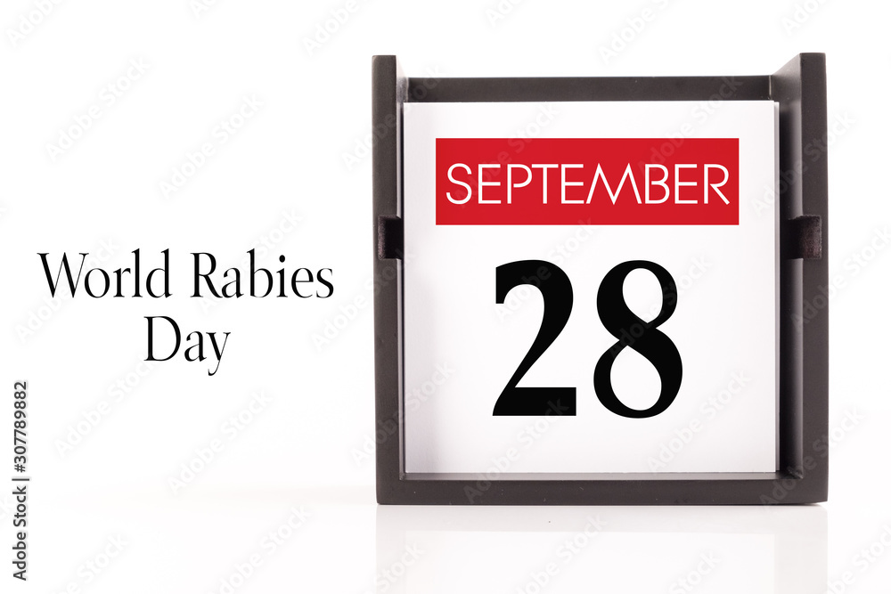 Sep, 28 - World Rabies Day. Calendar on white background, greeting message conceptual image. Sep, 28 - World Rabies Day. Calendar on white background, greeting message conceptual image.