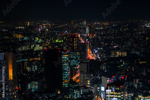 日本 首都東京 高層ビルのある風景 typical sight of Tokyo, Japan