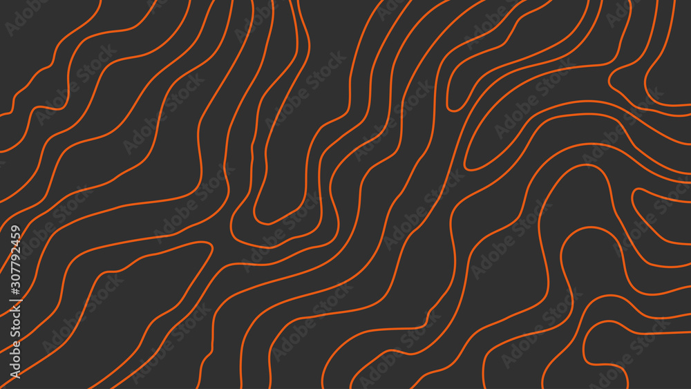 The stylized height of the topographic contour in lines and contours. The concept of a conditional geography scheme and the terrain path. Vector illustration. The stylized height of the topographic contour in lines and contours. The concept of a conditional geography scheme and the terrain path. Vector illustration.