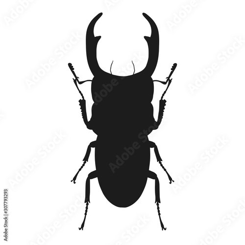 Silhouette of bug isolated on white background. Vector illustration