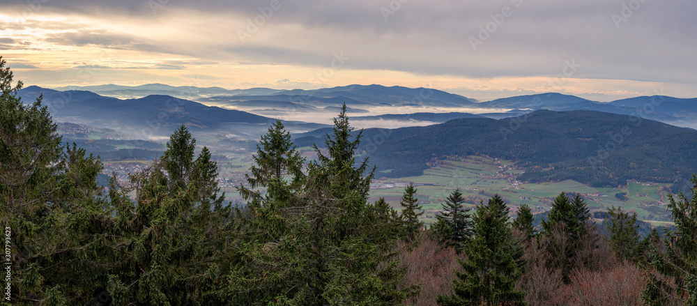 Fog panorama in the  bavarian forest