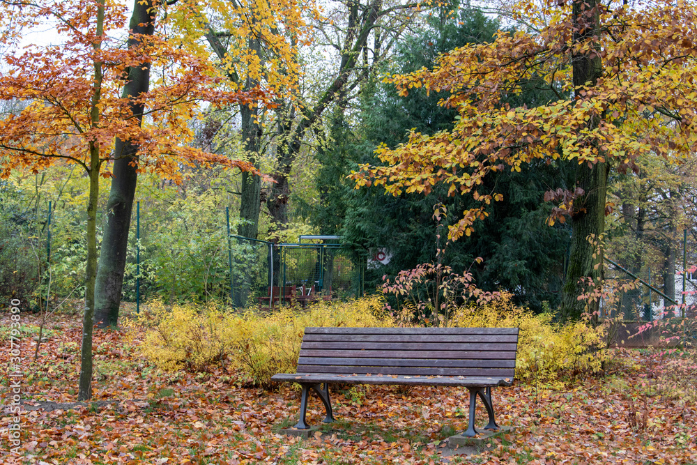 Spaziergang im Herbst durch einen Park in Lübbecke am Waldrand des Wiehengebirges.