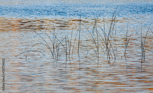 548-412 Reeds & Wind Textures on Water © Hank Erdmann