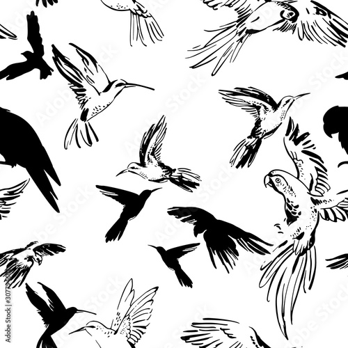 Flying exotic birds seamless pattern. Black and white sketch of parrots and hummingbirds
