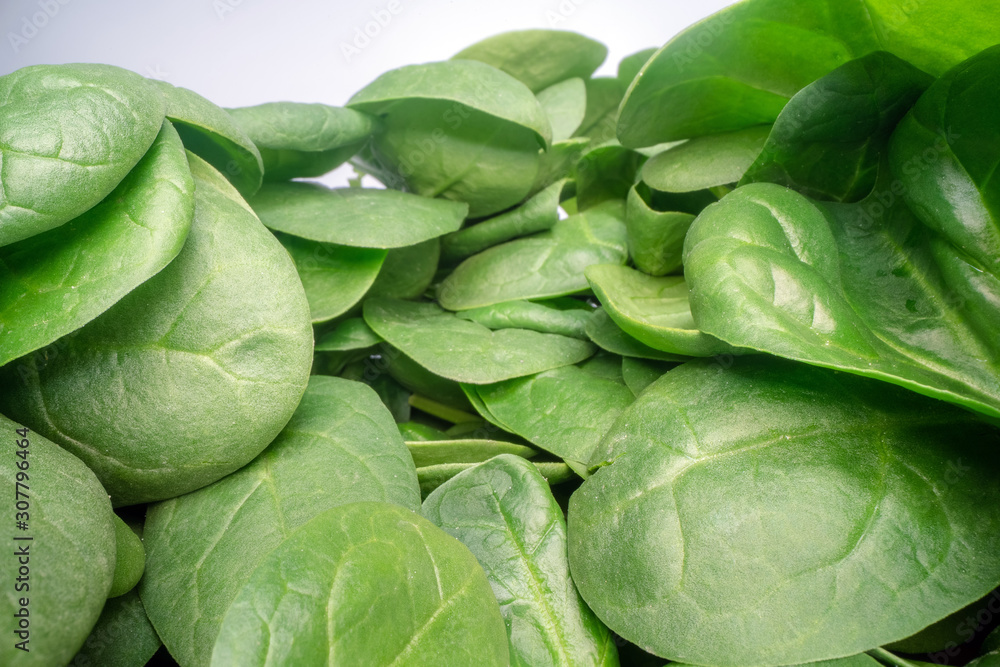 Fototapeta premium Macro shot of green spinach leafs. Bunch of spinach vegetable leafs stacked on top of each other. Urban farming, healthy eating lifestyle