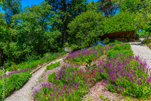 Gardens of the national palace of Pena, Sintra, Portugal