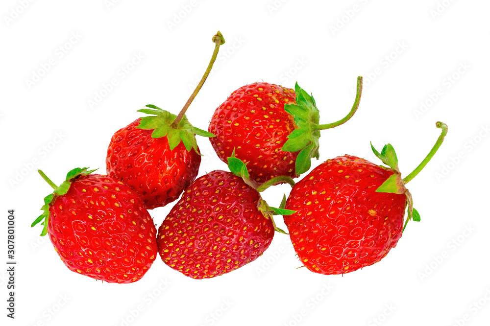 Garden strawberry Garden strawberry