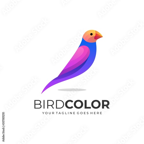 Sparrow Bird Illustration Vector Template © Artnivora