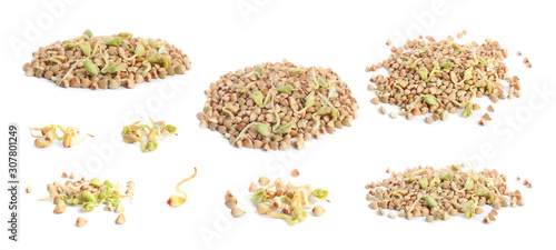 Set of sprouted green buckwheat grains isolated on white
