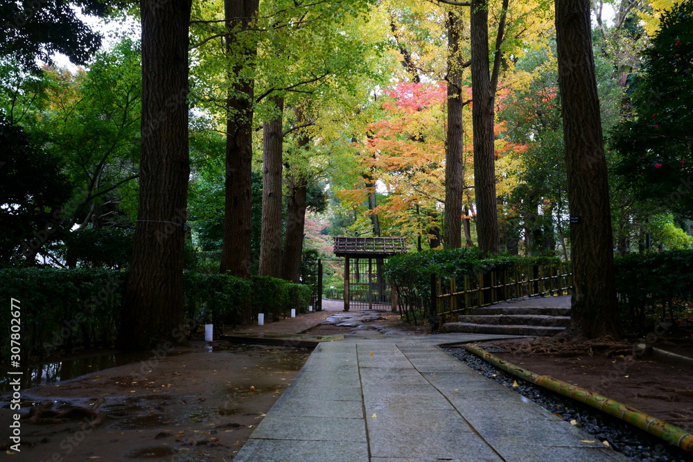 雨上がりの秋の日本庭園