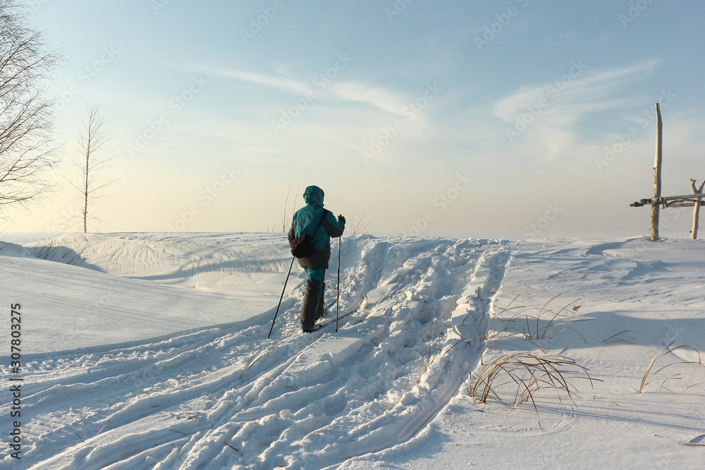 Woman skiing on the trail of a snowmobile on a snowy island Hrenoviy, Ob Reservoir, Novosibirsk, Russia