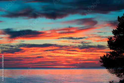 Amazing vibrant autumn sunset over deep blue ocean and endless horizon, with spruce branch silhouettes in the foreground island of Gotland in the Baltic Sea, Sweden