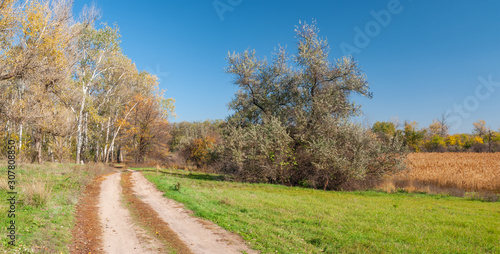 Autumnal panoramic landscape with an earth road beside mixed forest through meadow near Dnepropetrovsk city, Ukraine