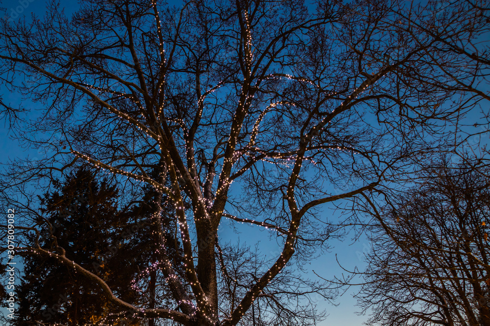 Christmas decorations in the central park of Kouvola with evening light illumination. Christmas decorations in the central park of Kouvola with evening light illumination.