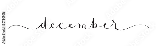 DECEMBER black vector brush calligraphy banner with swashes