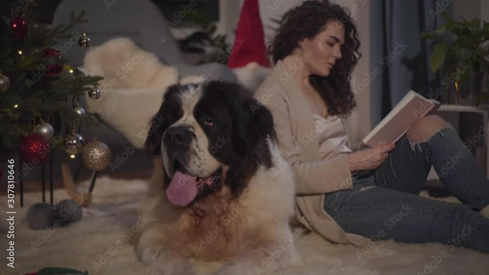 Side view of beautiful Caucasian girl leaning on big dog's back and reading book. Brunette woman with long curly hair resting with pet on New Year's eve. Coziness, comfort, tranquility. Side view of beautiful Caucasian girl leaning on big dog's back and reading book. Brunette woman with long curly hair resting with pet on New Year's eve. Coziness, comfort, tranquility.