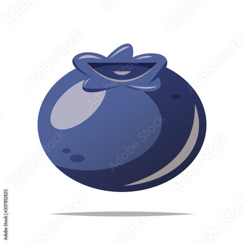 Blueberry fruit vector isolated illustration
