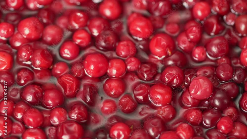Cowberry, cranberry close up. product rich in minerals and vitamins. Cowberry turns in a shot. Cowberry, cranberry rotating. Macro Cowberry, cranberry close up. product rich in minerals and vitamins. Cowberry turns in a shot. Cowberry, cranberry rotating. Macro