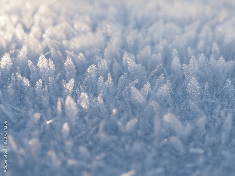Delicate frosty background with beautiful frost crystals in winter. Natural ornament ornament hoarfrost decoration and design. Delicate frosty background with beautiful frost crystals in winter. Natural ornament ornament hoarfrost decoration and design.