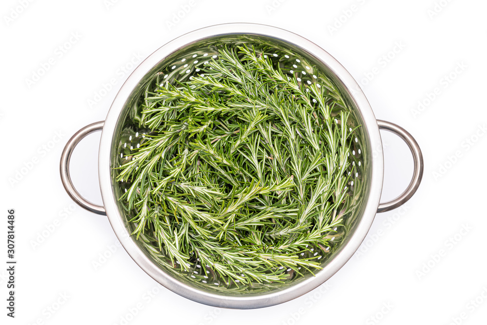 Rosemary isolated in a Stainless Steel Colander, hi key abstract image, herb preparation. Rosemary isolated in a Stainless Steel Colander, hi key abstract image, herb preparation.