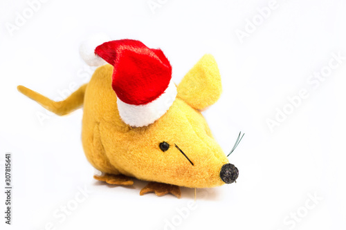 toy mouse a symbol of the new year in a red cap on a white background, space for text, copy space