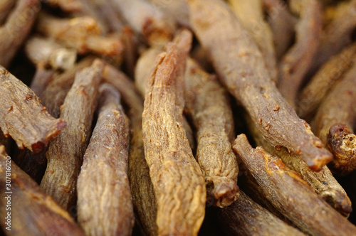 Close-up of the medicinal herb red ginseng