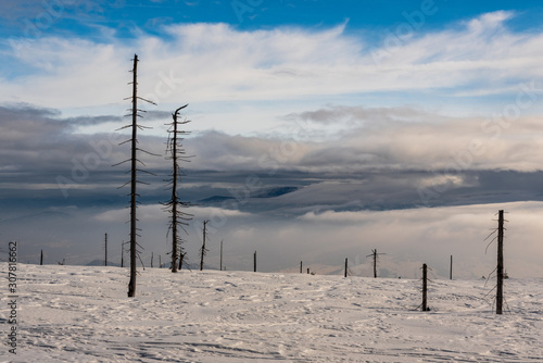 winter scenery with snow, tree chicot, hills and blue sky with clouds
