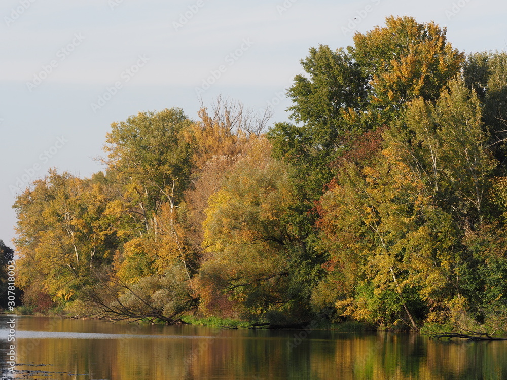 Colored landscape of trees and lake at Wilanow park in european Warsaw capital city in Poland Colored landscape of trees and lake at Wilanow park in european Warsaw capital city in Poland