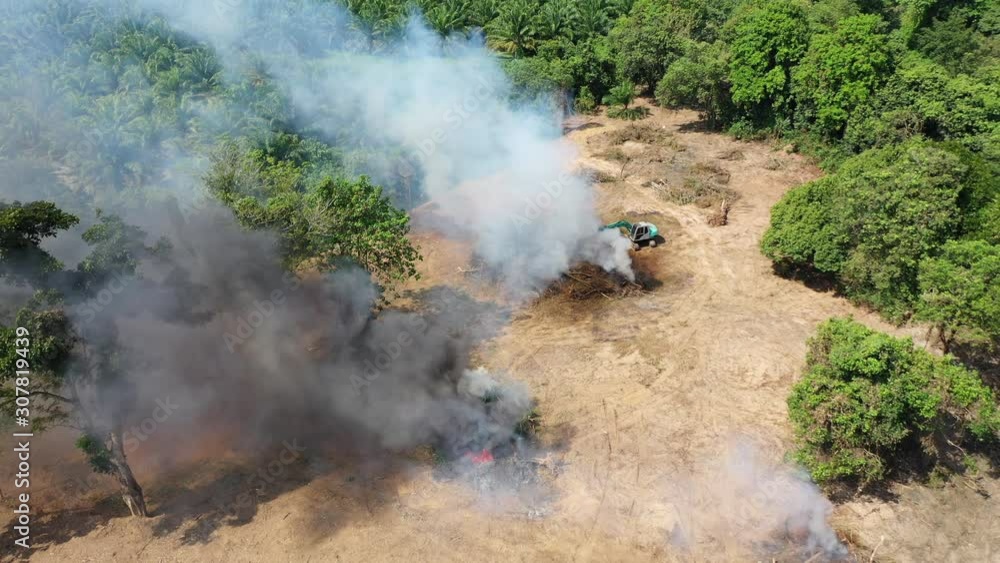 Deforestation and fire. Rainforest is cut down and burned to make way for agricultural land Deforestation and fire. Rainforest is cut down and burned to make way for agricultural land