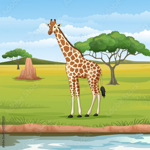 Cartoon giraffe in the savannah
