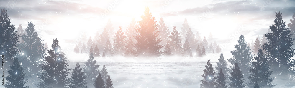 Winter abstract landscape. Sunlight in the winter forest. Panorama of forest landscape in winter. Bright winter nature scene.