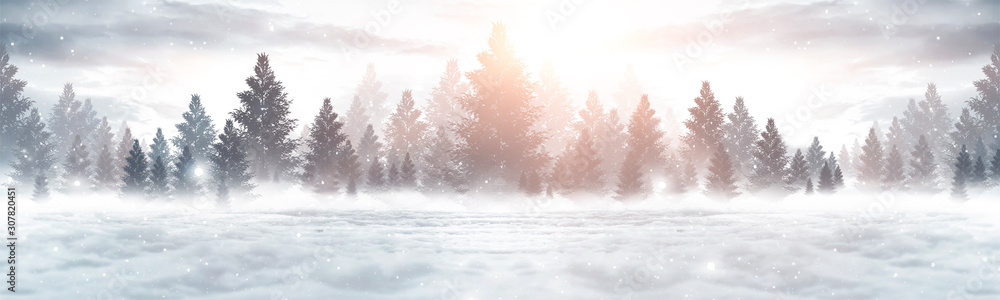 Fototapeta premium Streszczenie zimowy krajobraz. Światło słoneczne w zimowym lesie. Panorama krajobrazu leśnego zimą. Jasna zimowa scena przyrody.