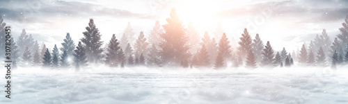 Winter abstract landscape. Sunlight in the winter forest. Panorama of forest landscape in winter. Bright winter nature scene.