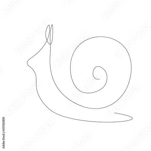 Snail animal isolated on the white background. Vector illustration