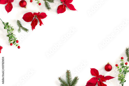 Christmas decoration. Frame of flowers of red poinsettia, branch christmas tree, ball, red berry on a white background with space for text. Top view, flat lay photo