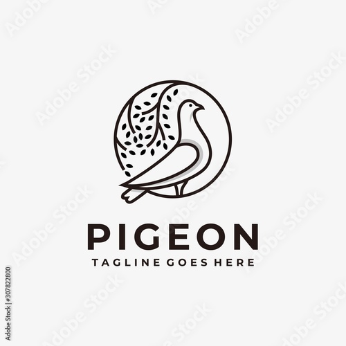 Pigeon Illustration Vector Template