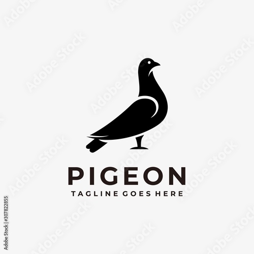 Pigeon Illustration Vector Template